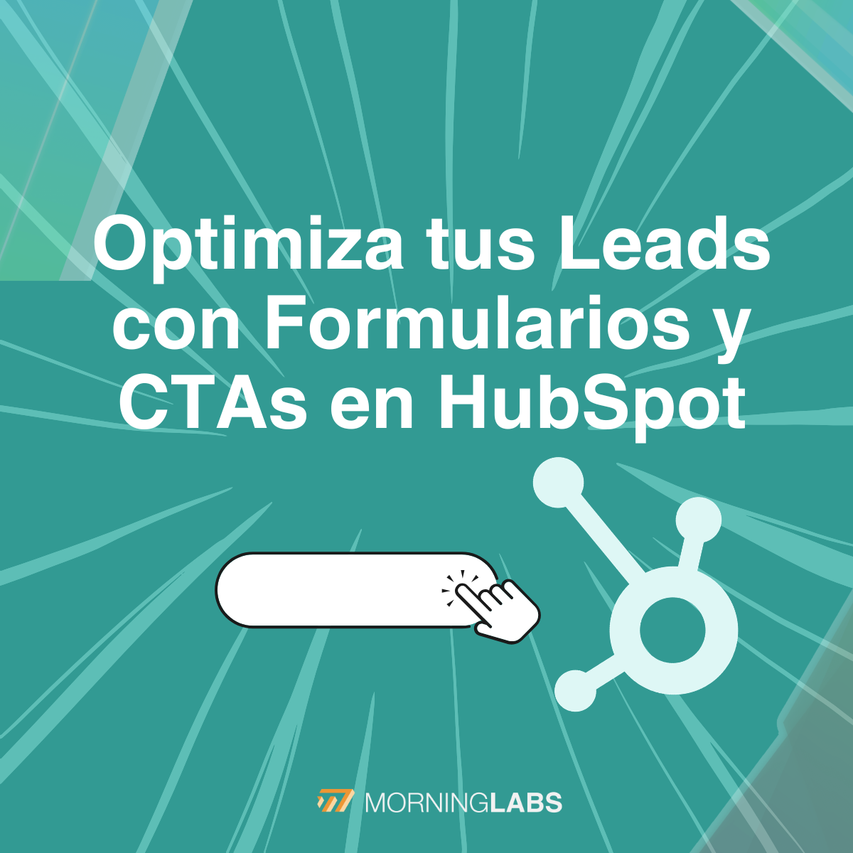 Optimiza tus leads con formularios y CTAs en HubSpot