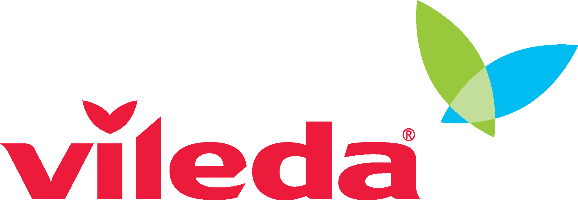 logo-vileda
